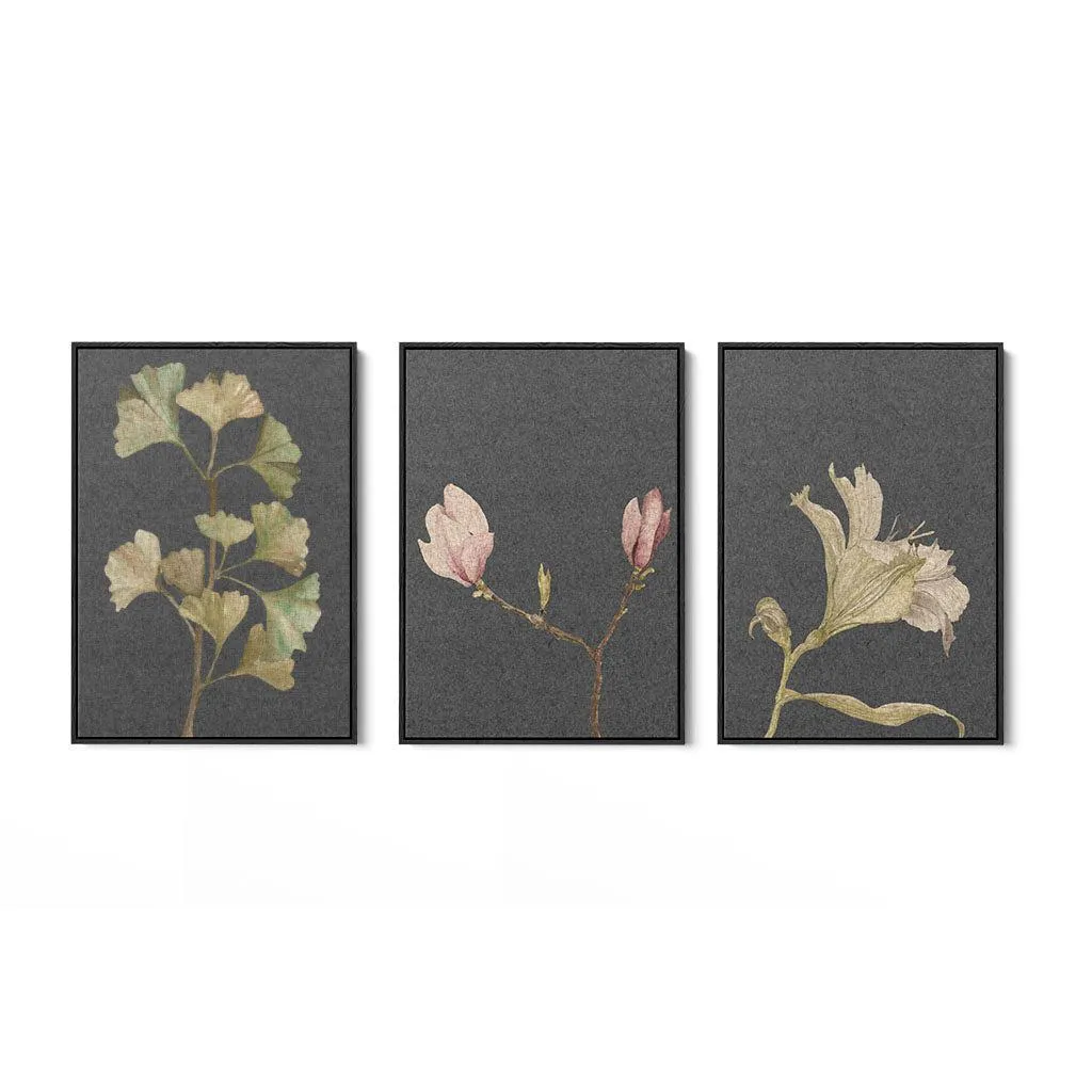 Botanical Vintage Leaves Set Of 3 Canvas