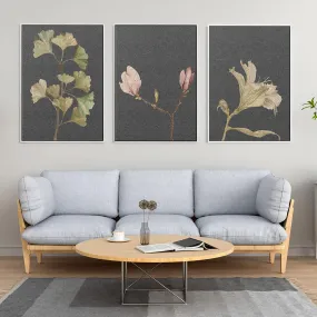 Botanical Vintage Leaves Set Of 3 Canvas