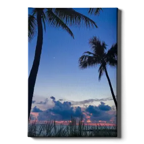 Destination - Twilight Palm