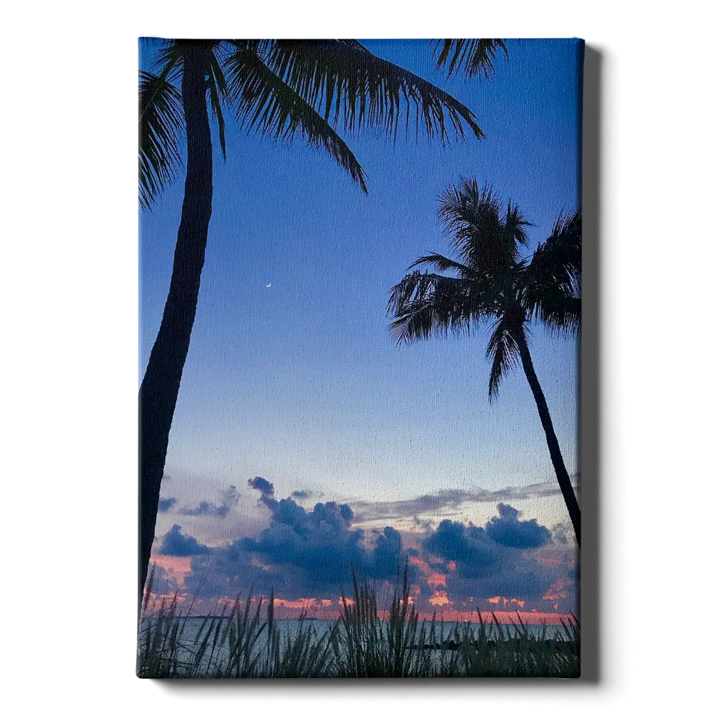 Destination - Twilight Palm